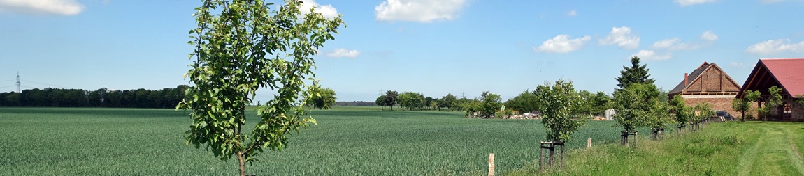 Kalzendorf Landschaft