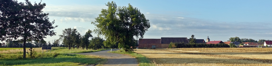 Kalzendorf - Landschaft